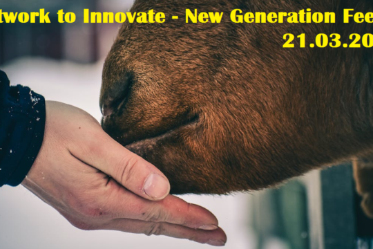 Network to innovate: New generation of feeds 21.3.2023